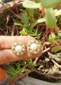 Pearl Halo Stud Earrings